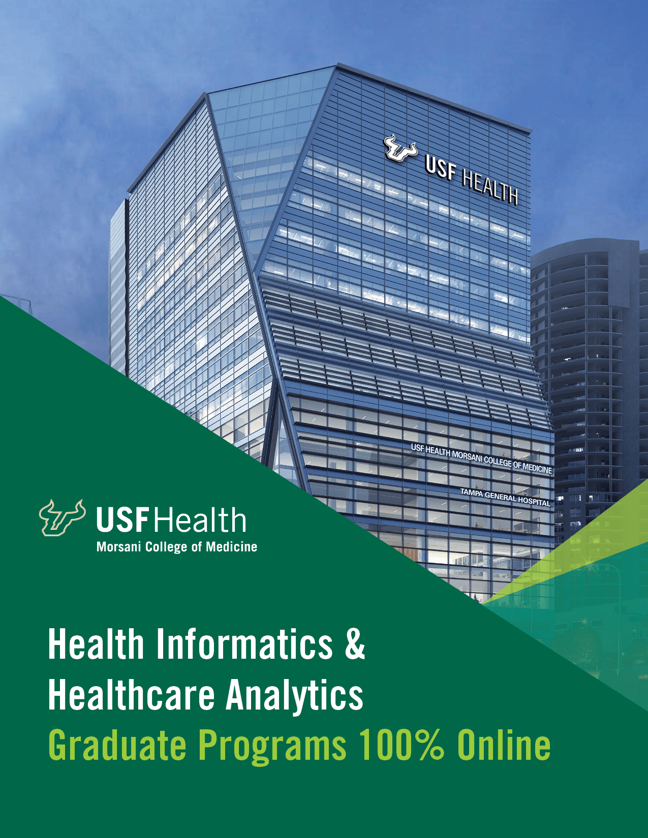 Learn More About USF Health's Online Programs In Health Informatics